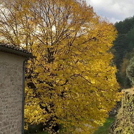 Dans Ancienne Maison * Rocles (Ardeche)