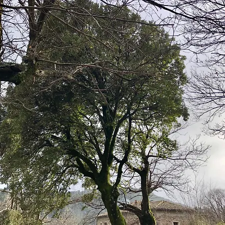 Dans Ancienne Maison Apartment Rocles (Ardeche)